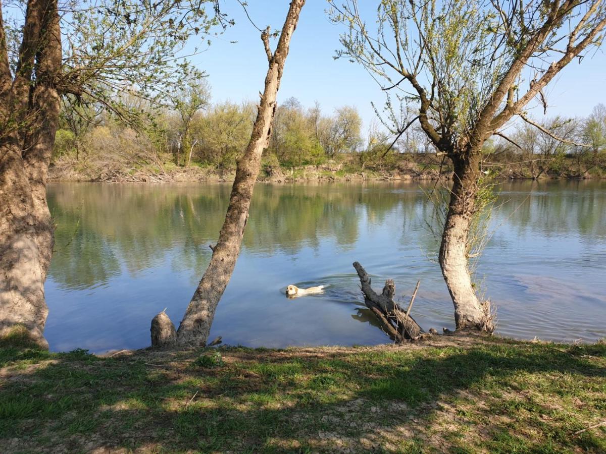 Guest House Studio Apartman Marina - With Jacuzzi, Free Parking, Pet Friendly Karlovac Eksteriør billede