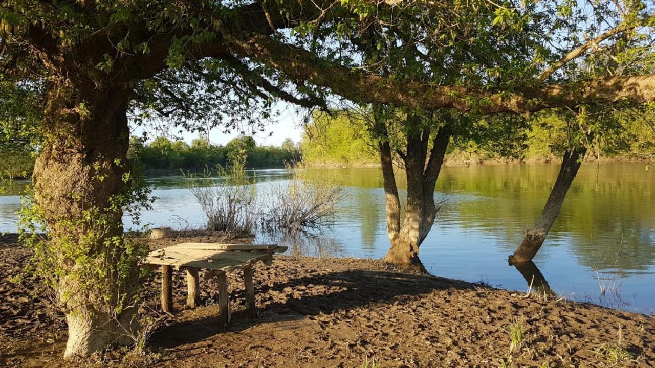 Guest House Studio Apartman Marina - With Jacuzzi, Free Parking, Pet Friendly Karlovac Eksteriør billede