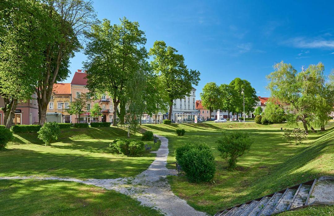 Guest House Studio Apartman Marina - With Jacuzzi, Free Parking, Pet Friendly Karlovac Eksteriør billede